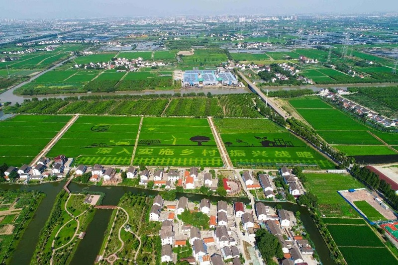農(nóng)村人居環(huán)境整治提升5年行動(dòng)將啟！2021中央一號(hào)文件正式發(fā)布