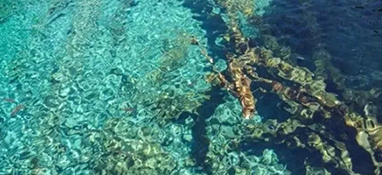 水質(zhì)怎么分類的？