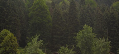 環(huán)境部答復(fù)“建議國(guó)家加大對(duì)固體廢物處理技術(shù)和專(zhuān)項(xiàng)設(shè)備的研發(fā)投入，增加專(zhuān)業(yè)處理機(jī)構(gòu)的數(shù)量”的建議